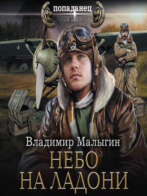cover image of Небо на ладони